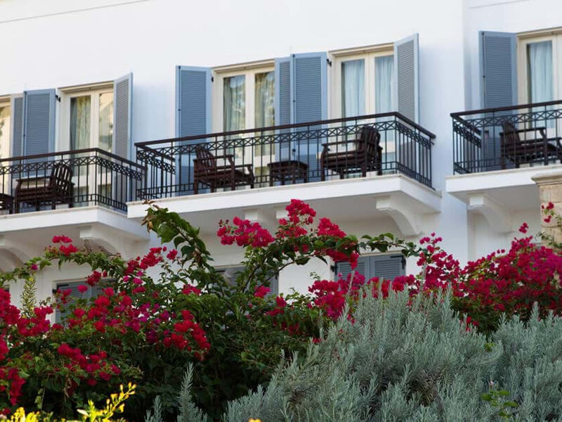 Anassa