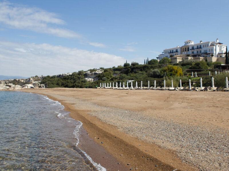 Anassa