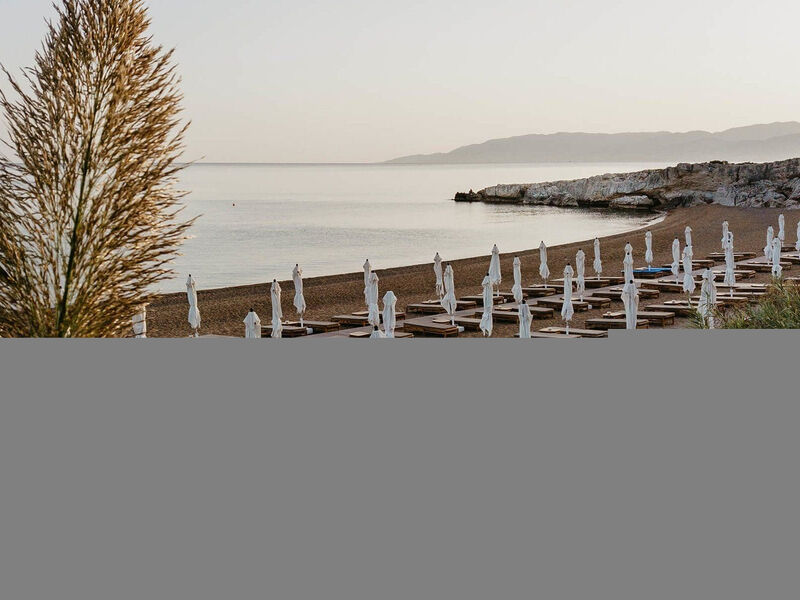 Anassa