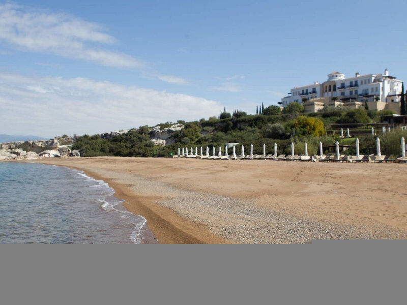 Anassa