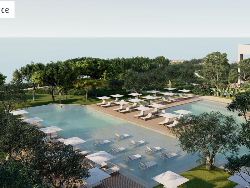 Anda Barut Collection