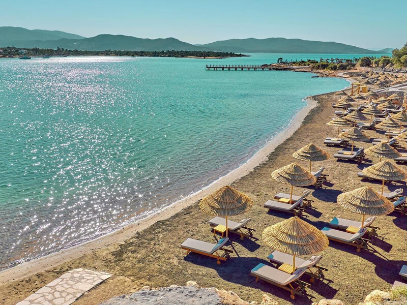 Anda Barut Collection