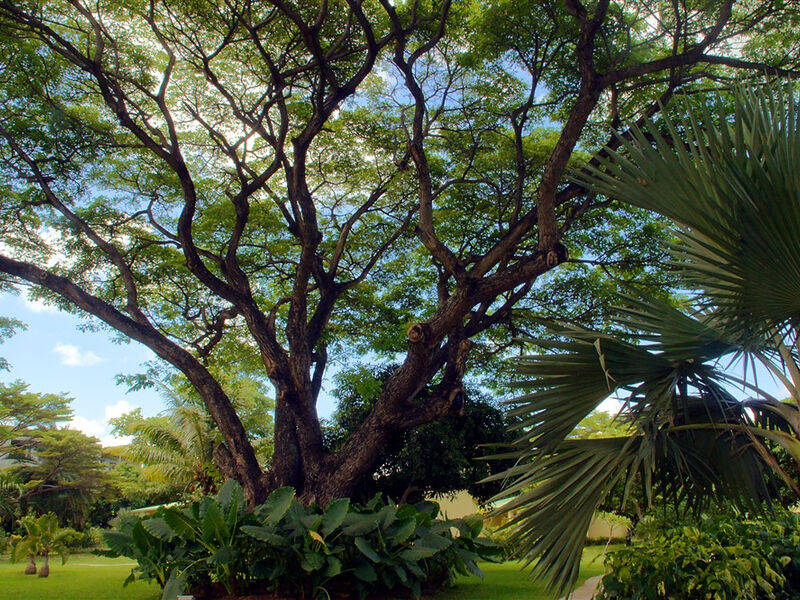 Anelia Resort & Spa