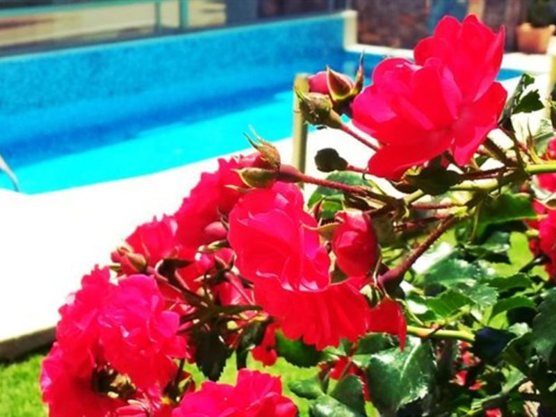 Angela Suites Boutique