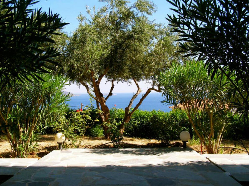 Anthemoessa
