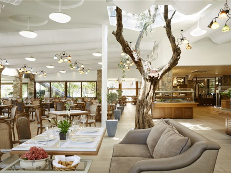 Anthemus Sea Beach Hotel And Spa