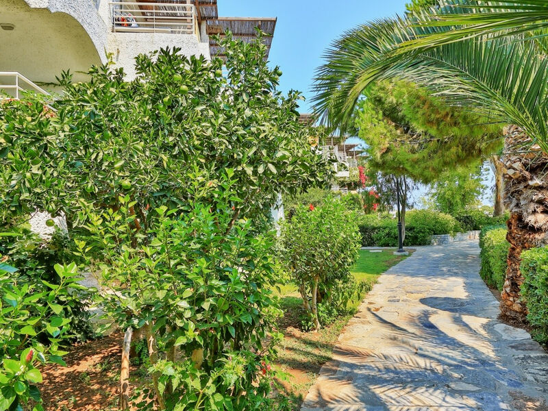Apollonia Beach Resort & Spa