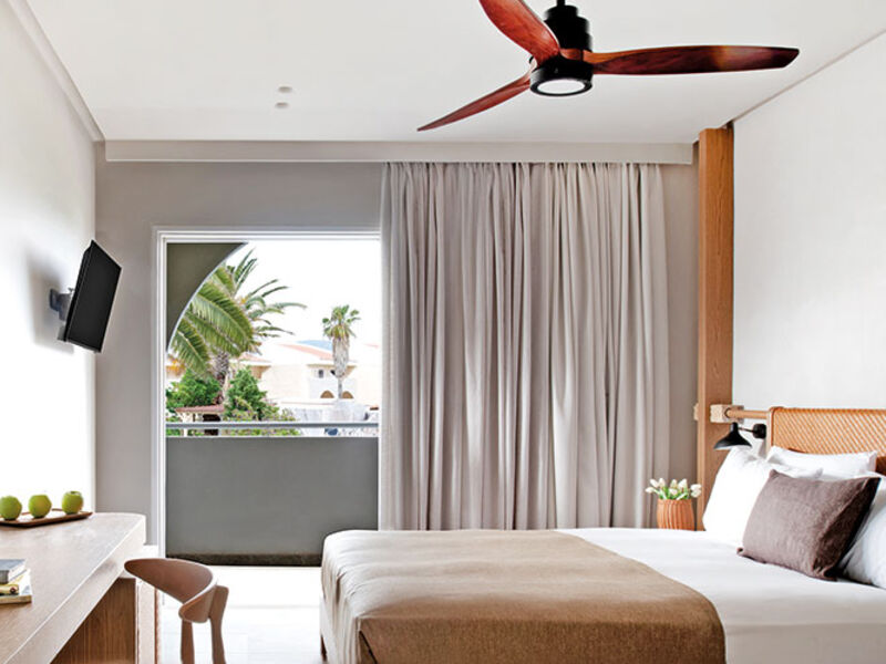 Argile Resort & Spa (Cephalonia Palace)