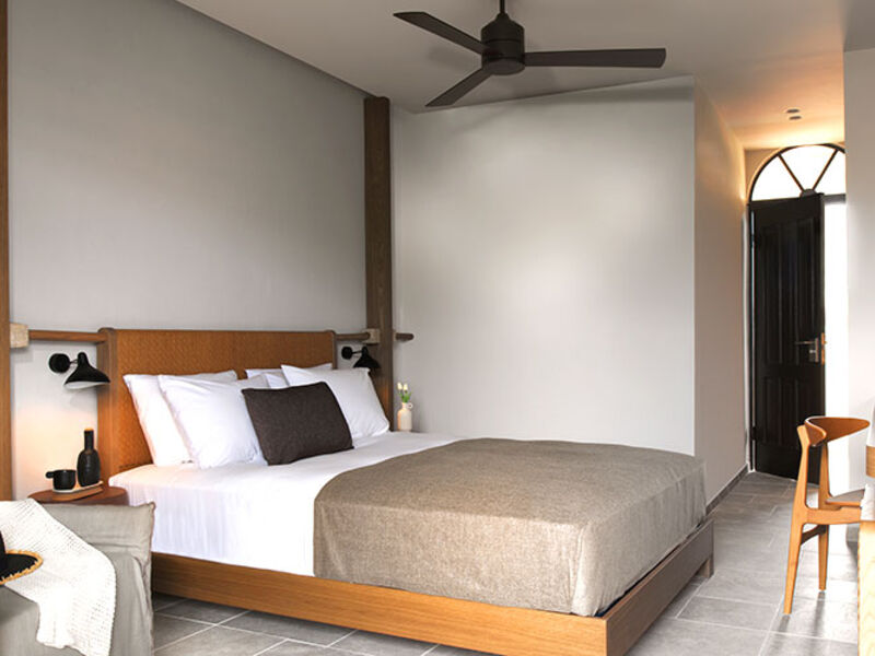 Argile Resort & Spa (Cephalonia Palace)