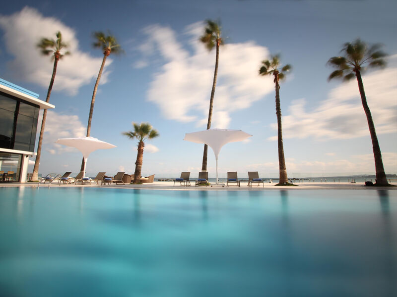 Arkin Palm Beach