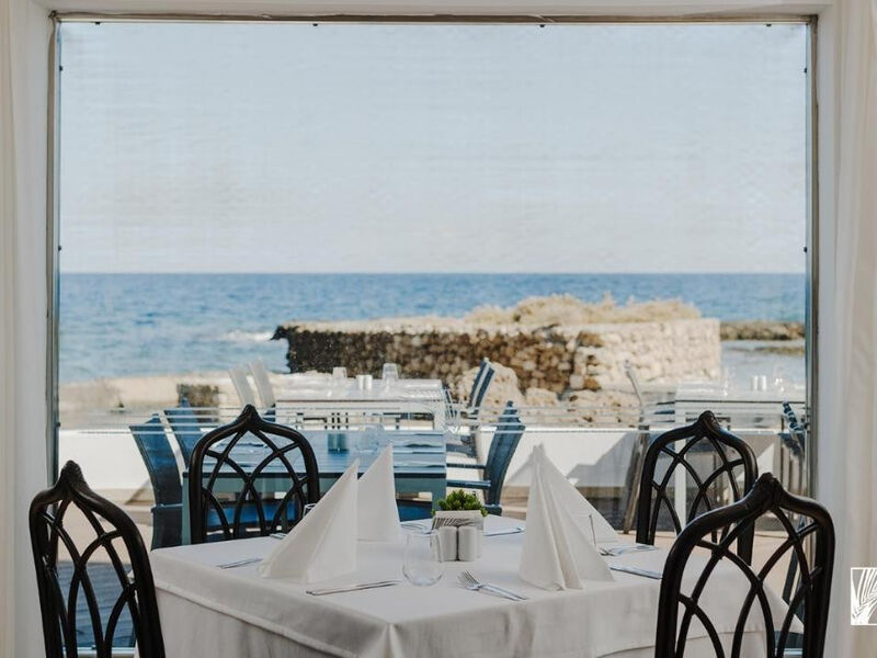 Arkin Palm Beach
