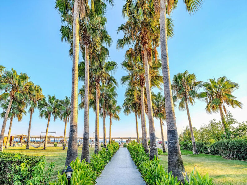 Washington Resort Hotel & SPA