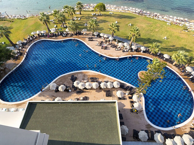 Asteria Zeus Didim