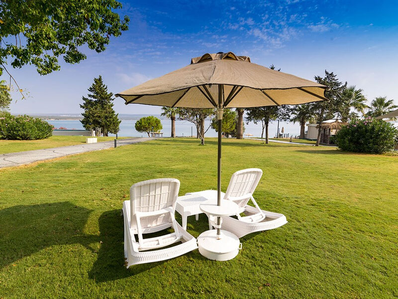 Asteria Zeus Didim