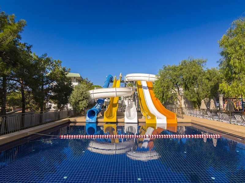 Asteria Zeus Didim