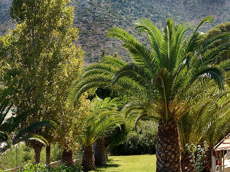 Atali Village