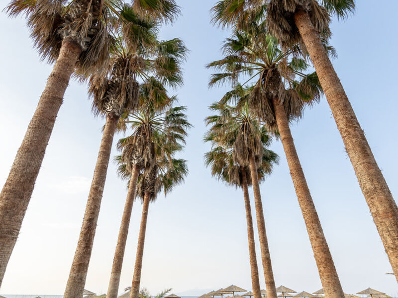 Porto Bello Beach