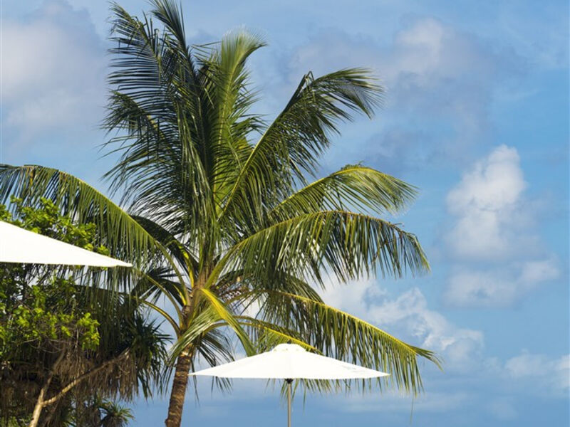 Atmosphere Kanifushi