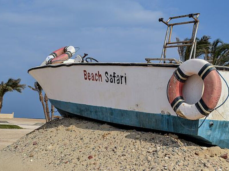 Aurora Beach Safari