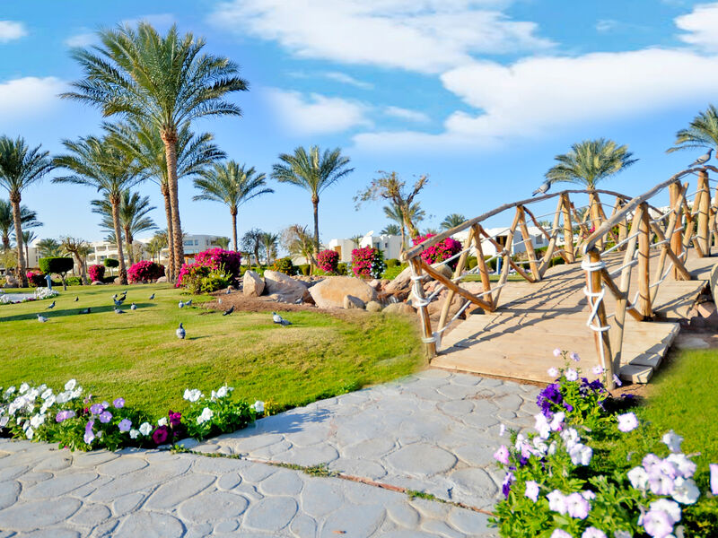 Aurora Oriental Resort