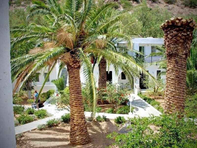 Avra Palm