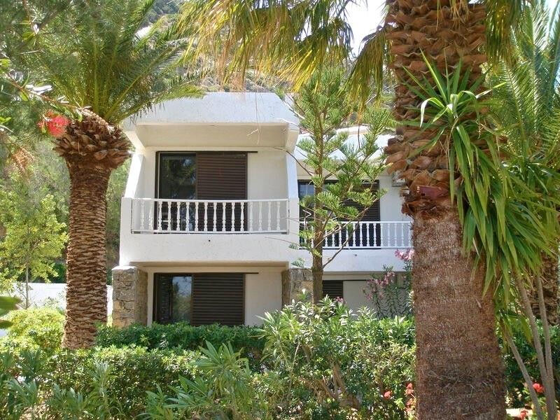 Avra Palm