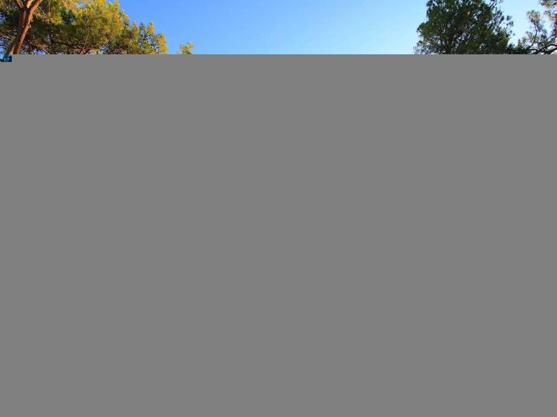 Aydinbey Siu Collection