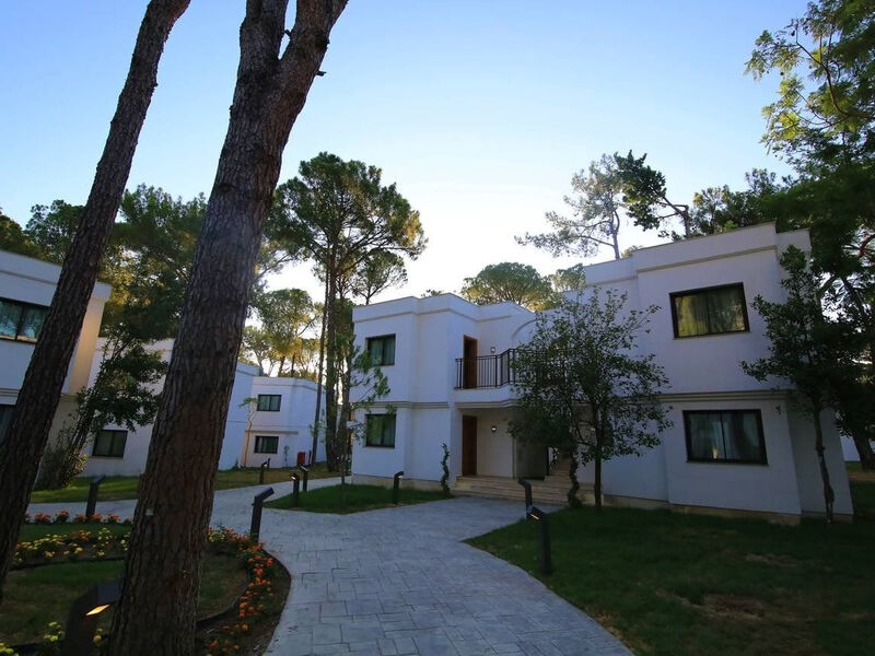 Aydinbey Siu Collection