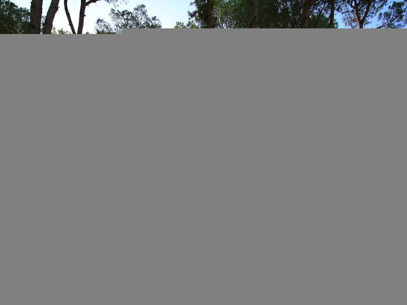 Aydinbey Siu Collection