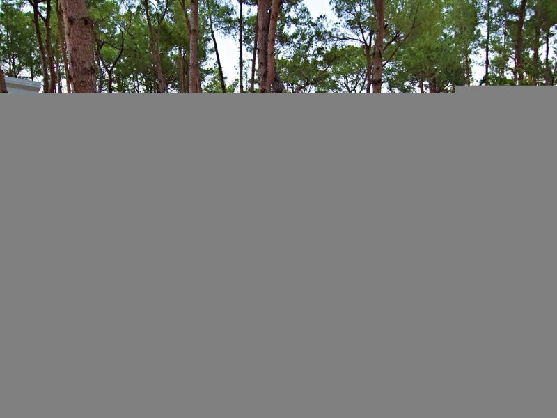 Aydinbey Siu Collection