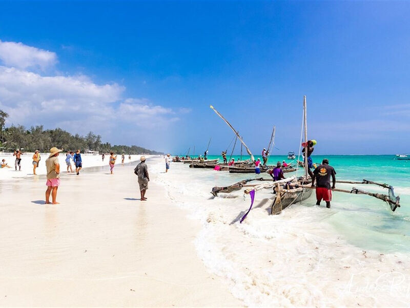 Baobab Beach Resort & Spa