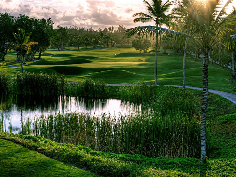 Barcelo Bavaro Beach