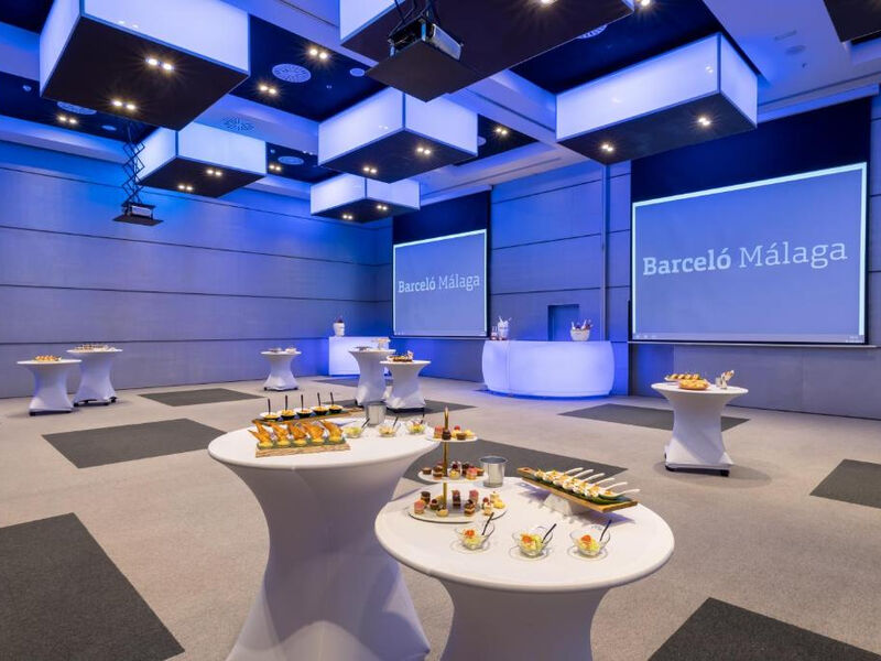 Barcelo Malaga
