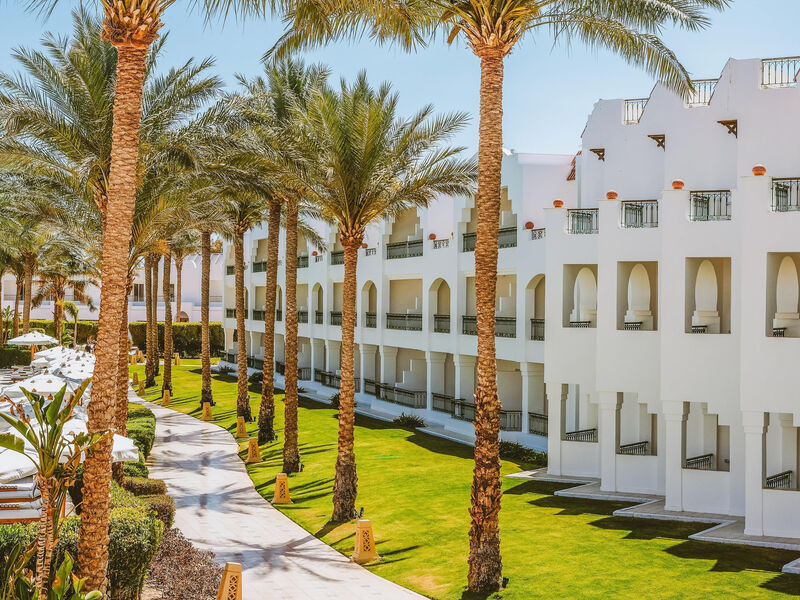 Baron Palms