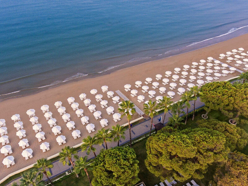 Acanthus Cennet Barut Collection