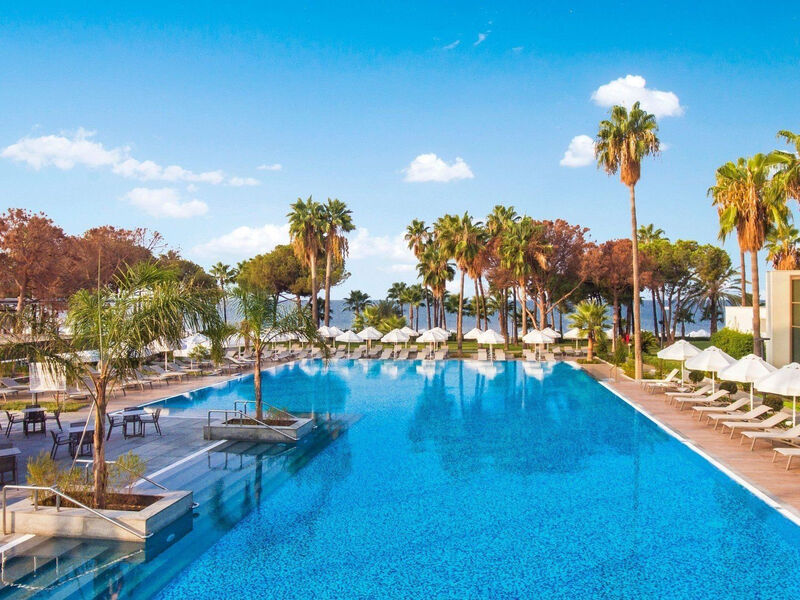 Acanthus Cennet Barut Collection