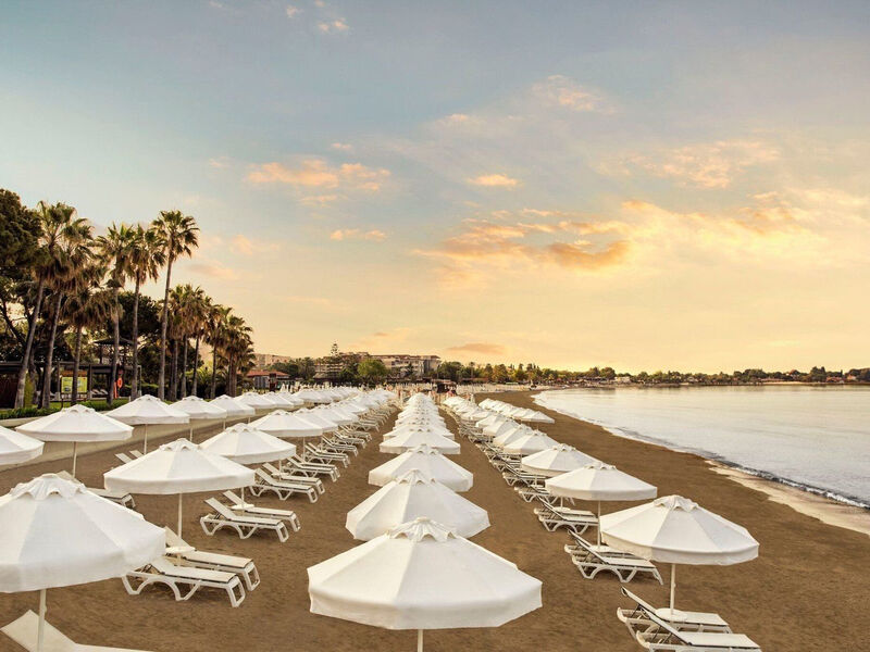 Acanthus Cennet Barut Collection