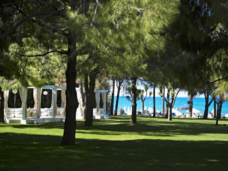 Barut Hemera