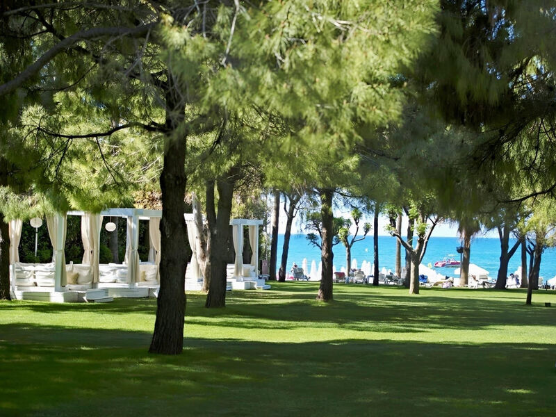 Barut Hemera