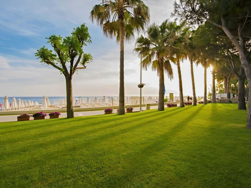 Barut Hemera