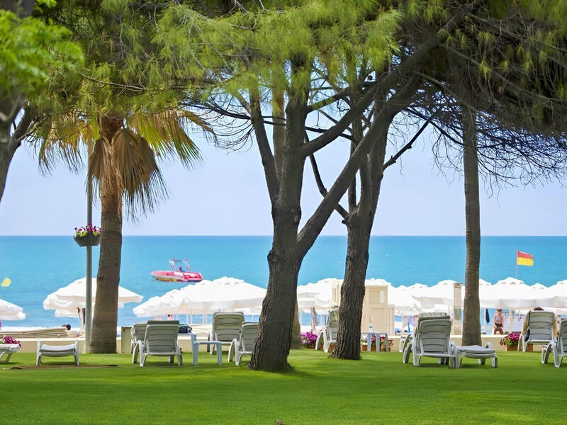 Barut Hemera
