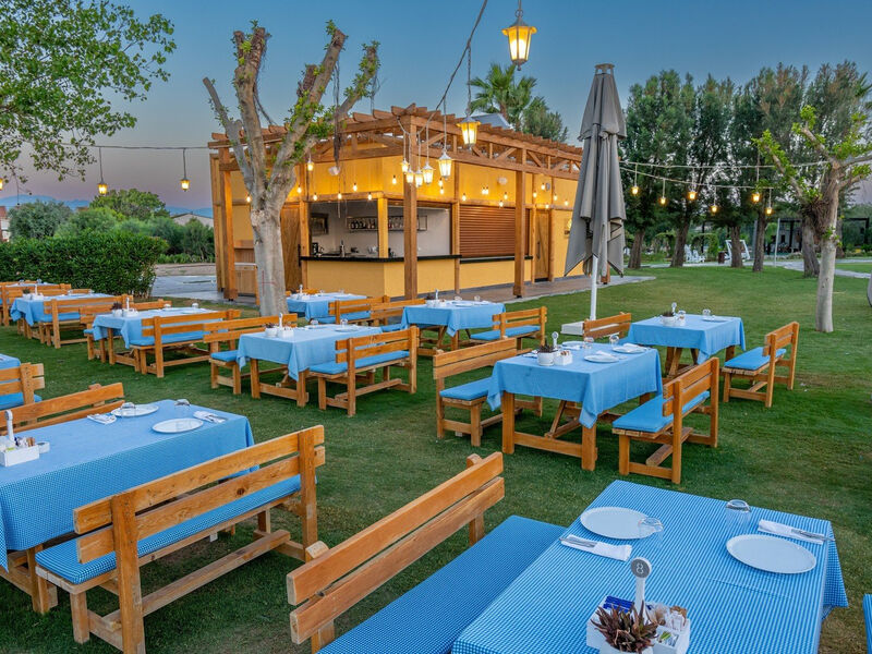 Barut Lara