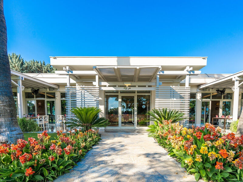 Barut Lara