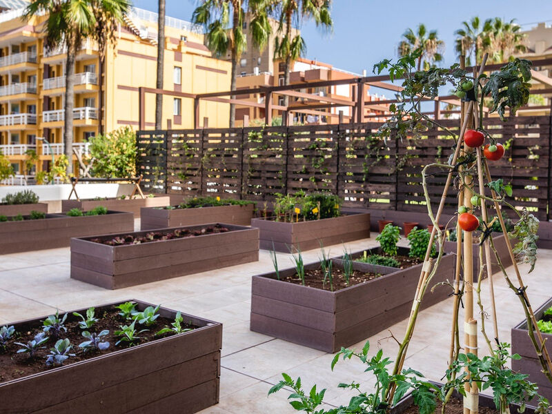 Be Live Adults Only Tenerife