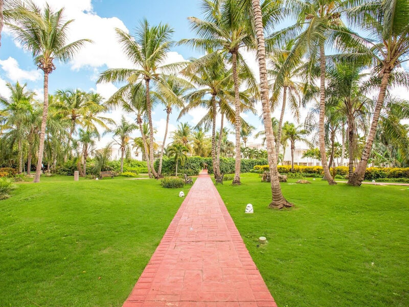 Be Live Collection Canoa