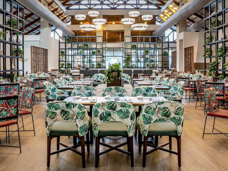 Be Live Collection Punta Cana