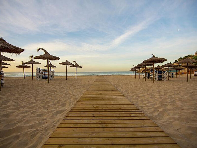 Be Live Complejo Cala Mayor