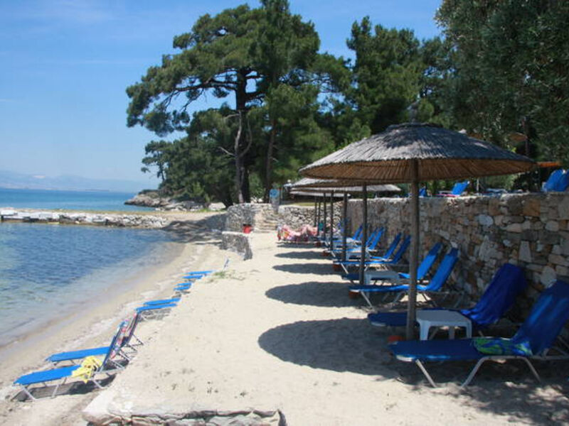 Belvedere Akti