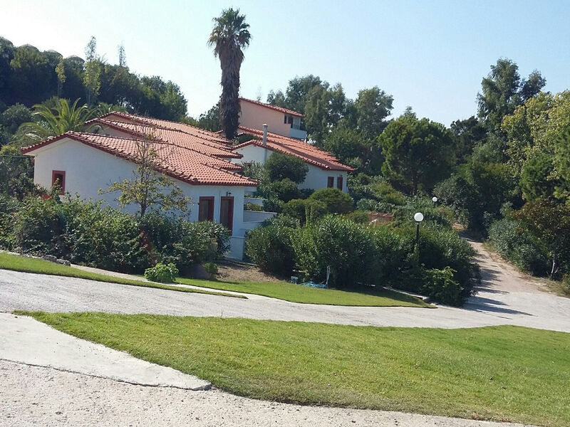 Belvedere