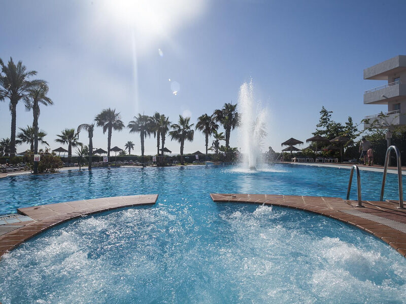 Best Oasis Tropical
